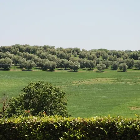Agriturismo Le Coccinelle Country house Magliano in Toscana