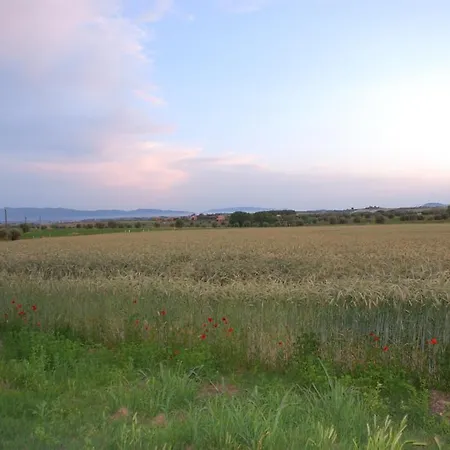 Agriturismo Le Coccinelle Country house