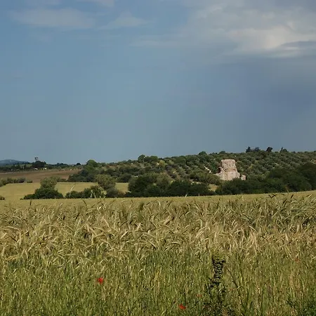 Agriturismo Le Coccinelle Country house *